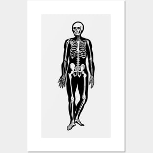 Walking Skeleton - Vintage Anatomy Posters and Art